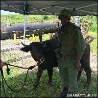 promo013 (640x640, 158 kБ...)